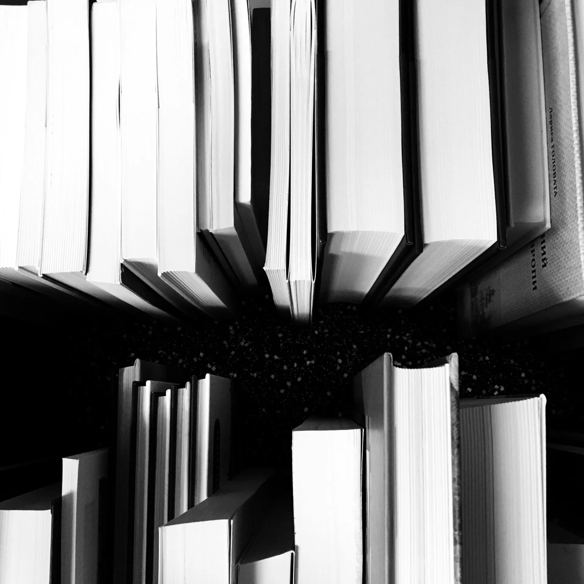Grayscale photo of books